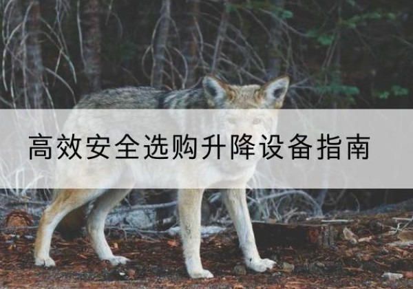 沙洋升降货梯厂家推荐-*安全选购升降设备指南