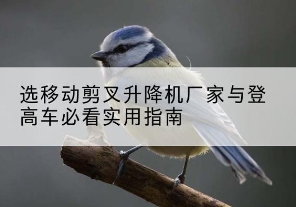 沙洋电动升降机厂家-选移动剪叉升降机厂家与登高车必看实用指南