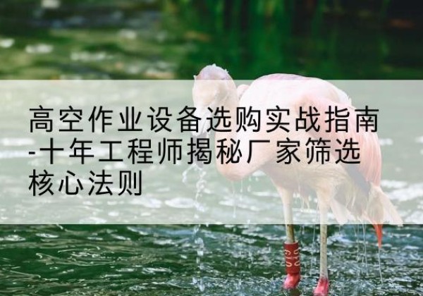 沙洋剪叉式升降机厂家-高空作业设备选购实战指南-十年工程师揭秘厂家筛选核心法则